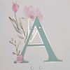 annacollado06