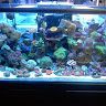 westaquarium