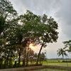 howbeautifulourearth