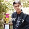 hone1613v
