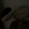 ahlisurgaaamiin