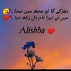 alishbasheikh080