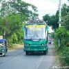 bdbusloversm