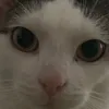 xx_.lejlaaa