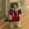 tiposicat