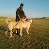 ferhatturk38