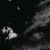 van_official16