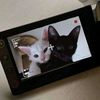 moonytoast19
