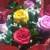 thuy_van__