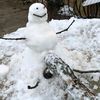 snowmandp