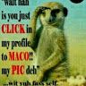 kembacameron