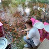 vanphong_95