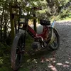 stm_customs