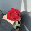 dabdob24