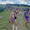 em_hamill