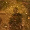 aniba_mg25