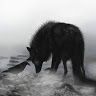 ravenwolf31