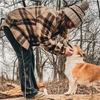 adorb.corgs