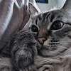 peter.3653