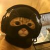 teraaaaaaaaaaaaaaa_