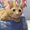 princegoldy19