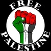 tio.indonesiadanpalestin