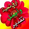 user891163213
