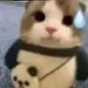 janklmf