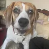 jadeebradley5