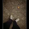 lxrx.kng
