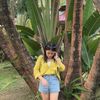 bunga_matahari044