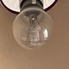 lightbulb159