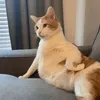 fatui_121