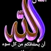 zahratamal77