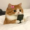 hafmin_