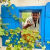 nibeeshsan