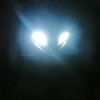 .abood273