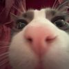 stinkyslime88