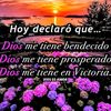 chiapanecafeliz20