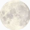 esylivinginthemoon