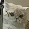 kittie257