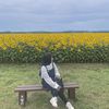 ahadsa_ainun