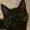 kkkayeee