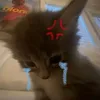 xxxxlqto_17