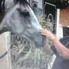 jonwest6380