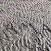 samahawad.89