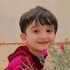 mustafakareem5716