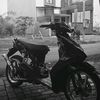 derwis91