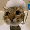 yrik_7543