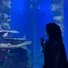 alyafgf